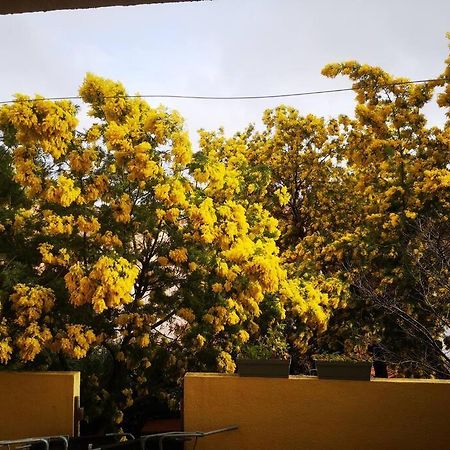 Appartement Proche Mer Avec Terrasse Et Jardin Privatif อิแยร์ ภายนอก รูปภาพ