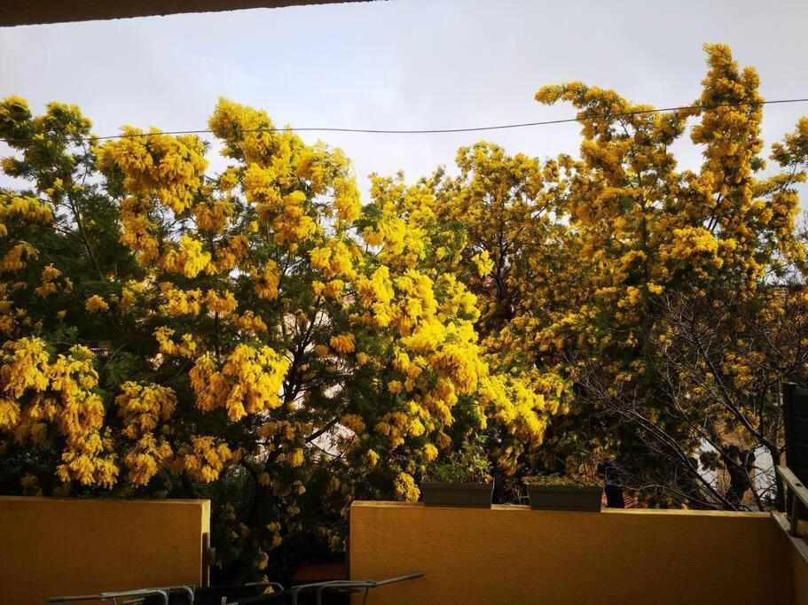 Appartement Proche Mer Avec Terrasse Et Jardin Privatif อิแยร์ ภายนอก รูปภาพ